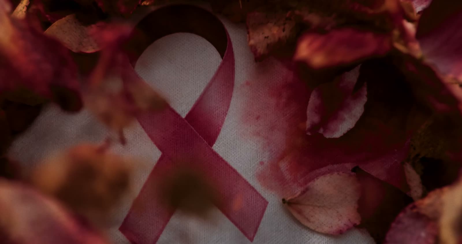 Le ruban rose d'Octobre Rose sous les feuilles, film Le Souffle des Lys
