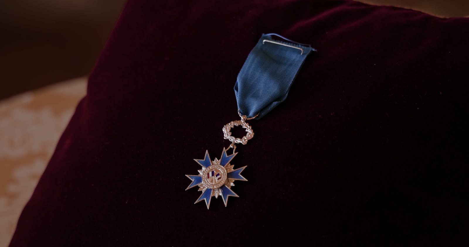 Les insignes de chevalier de l'Ordre national du Mérite, médaille au ruban bleu
